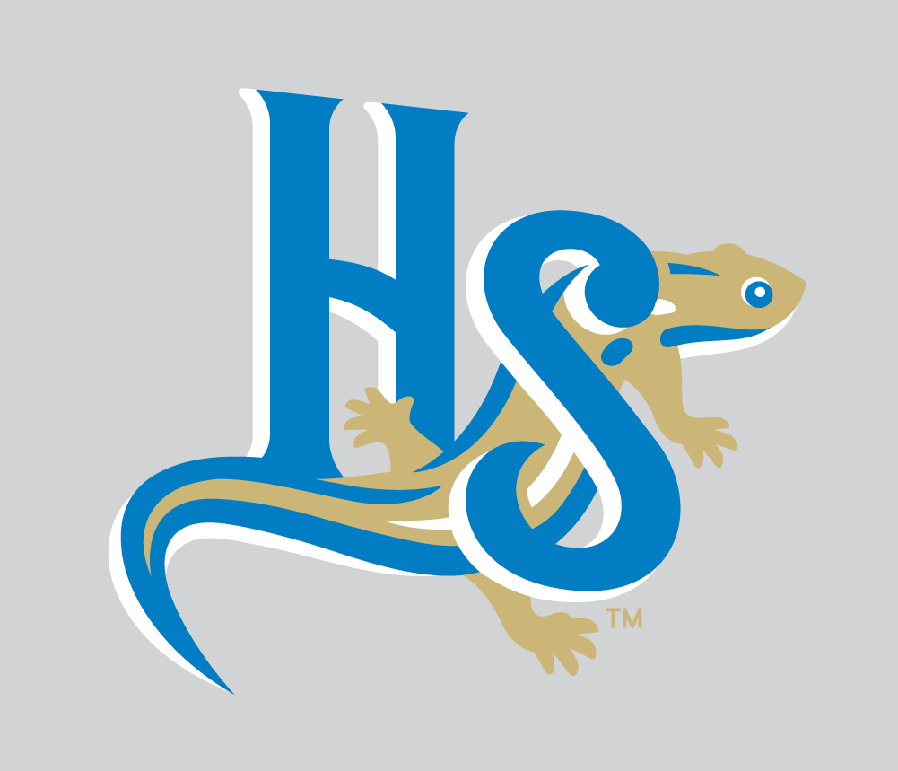 Holly Springs Salamanders 2015-Pres Alternate Logo v4 iron on heat transfer